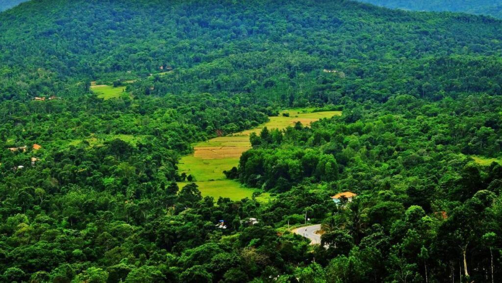 20 Best Things to Do in Coorg Karnataka